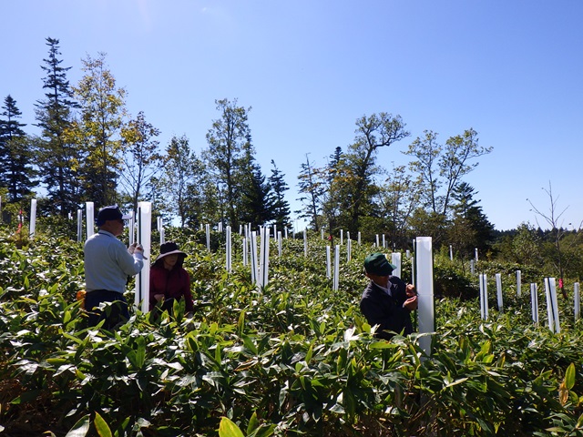 保護管で被覆する様子