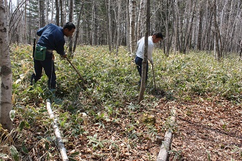 20140508カメラ設置1