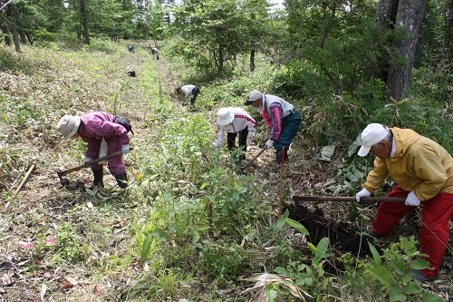 平成26年度一般公募植樹風景植樹