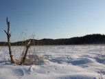 雪の別寒辺牛（べかんべうし）湿原