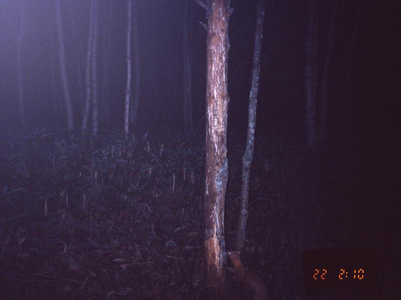 251029-sbl2