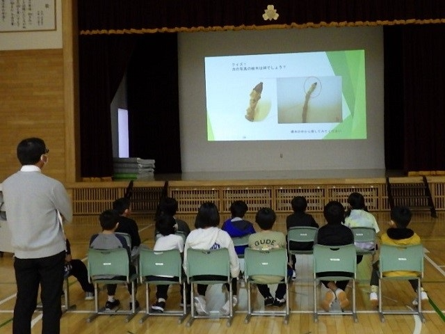 冬芽のクイズの様子