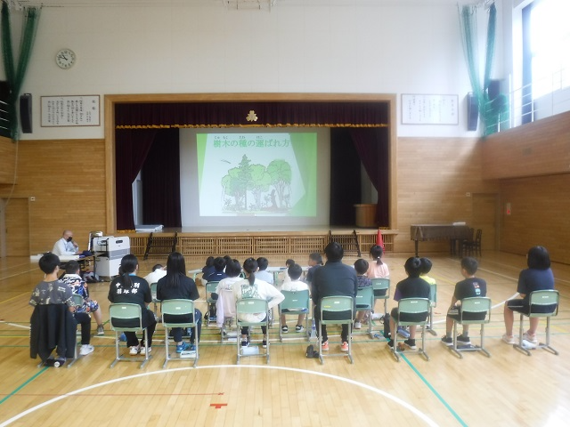 樹木のタネの運ばれ方の解説