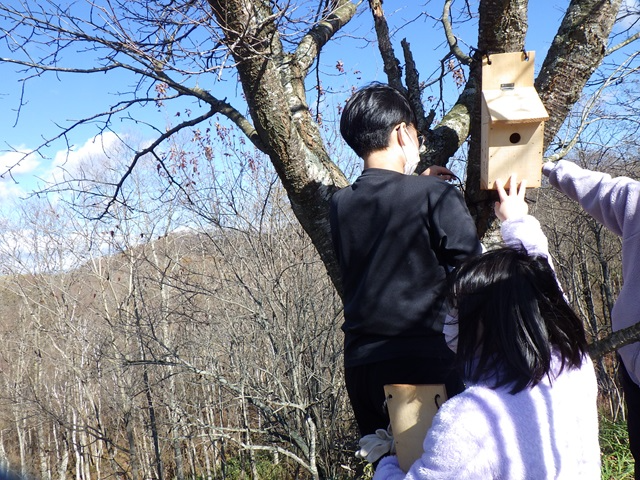 巣箱設置の様子