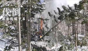高性能林業機械のPR動画