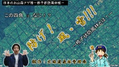 格子状防風林編
