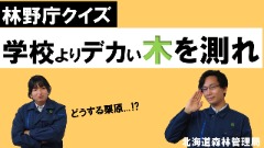 木の測り方編