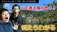 服の色検証編