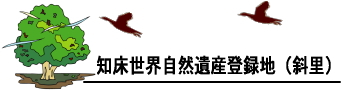 知床世界自然遺産登録地（斜里）