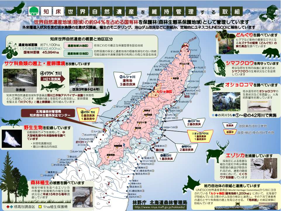 知床世界自然遺産を維持管理する取組