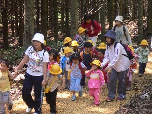 遊歩道を歩く園児たち1