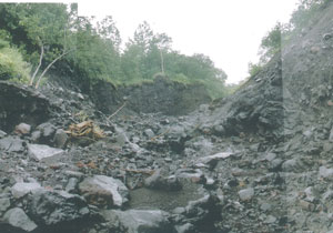 土石流発生渓流の荒廃した上流部の写真