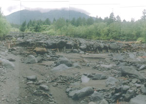 土石流の末端部の写真