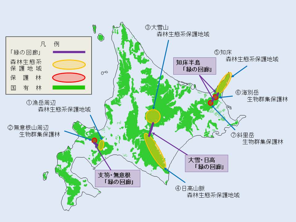 緑の回廊位置図