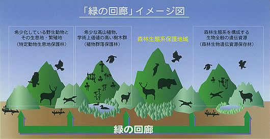 緑の回廊イメージ図