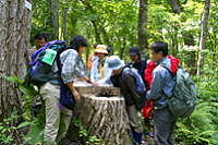 昭和の森野幌自然休養林の写真