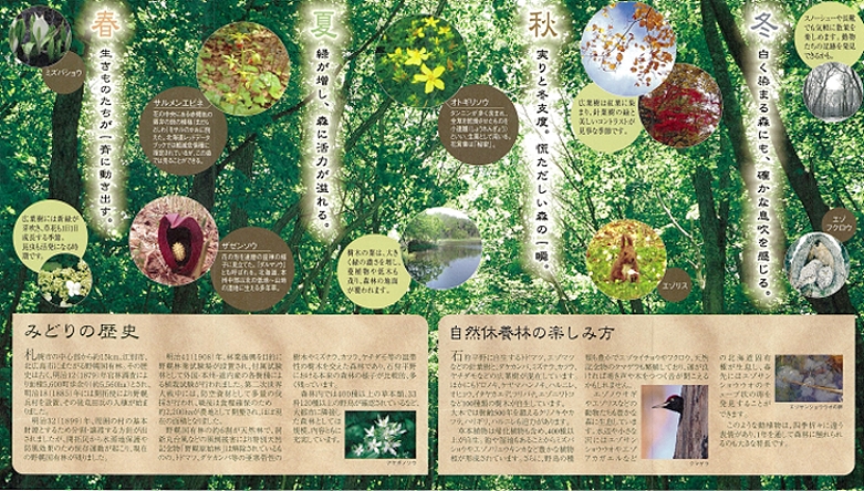 昭和の森、野幌自然休養林のパンフレット