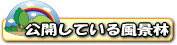 公開している風景林