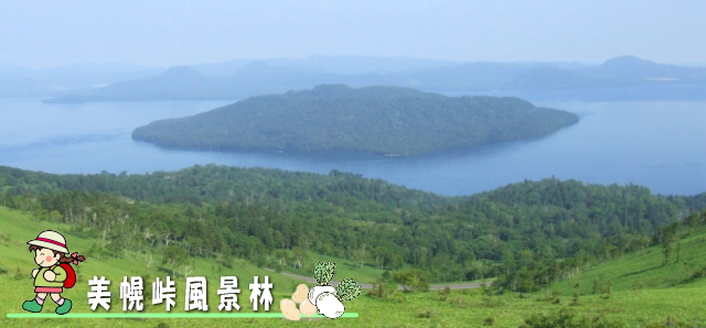 美幌峠風景林 美幌峠から見た屈斜路湖の写真