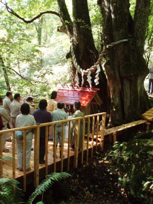 「縁結びの神」が宿ると伝えられています