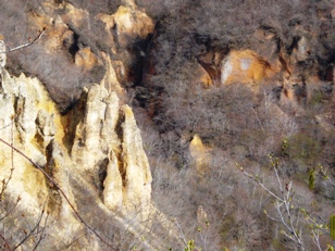 登別温泉風景林の景観