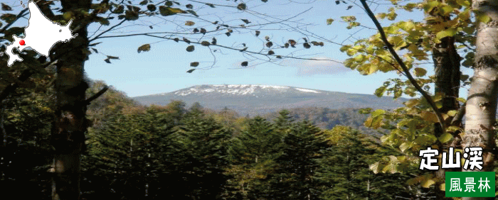 定山渓風景林ロゴ