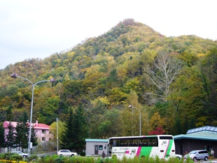 国道230号線から見る風景林