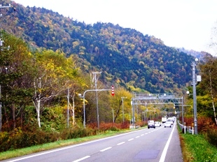 風景林内を走る国道