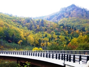 無意根大橋付近の風景