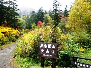 「無意根山」登山口付近の紅葉