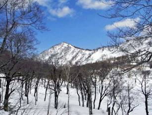 冬の「七ッ岳」