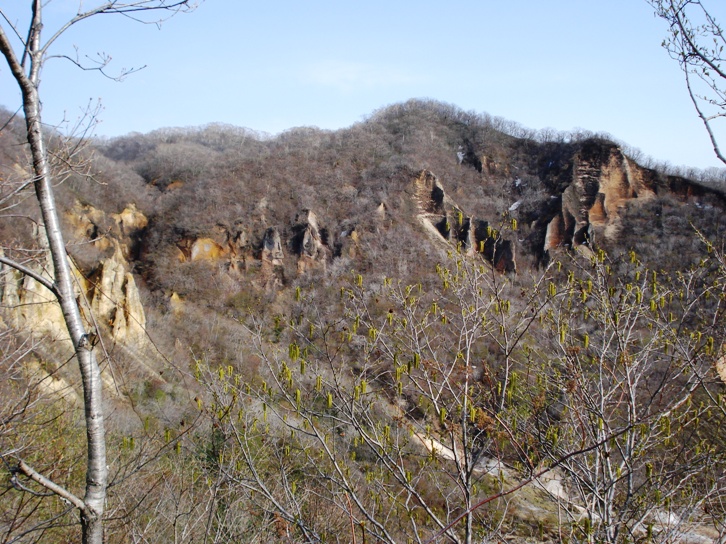 登別温泉風景林の遠景