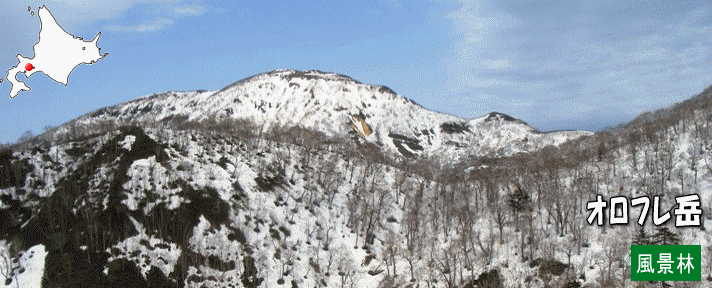 オロフレ岳風景林ロゴ