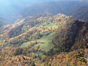 「天狗山」頂上眼下の紅葉