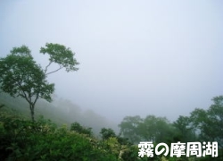 霧の摩周湖の写真