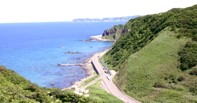 積丹・古平海岸風景林の写真