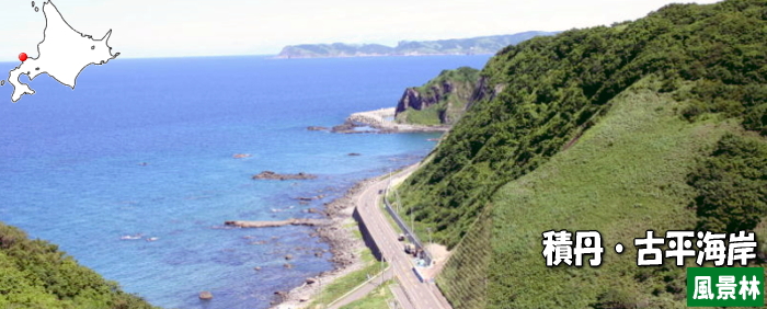 積丹・古平海岸風景林