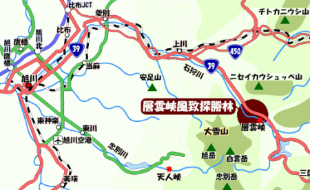 層雲峡風致探勝林位置図