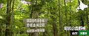 昭和の森野幌自然休養林