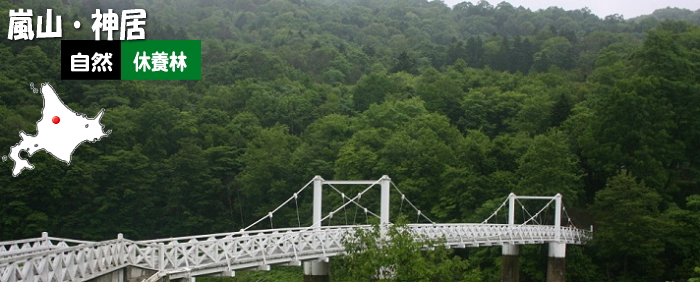 嵐山・神居自然休養林