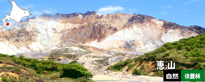 恵山自然休養林