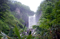 賀老の滝の写真
