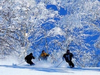 スキー場の写真