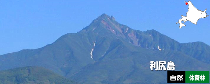 利尻島自然休養林