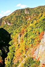 豊平峡ダム自然観察教育林の写真