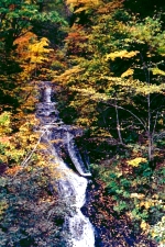 豊平峡ダム自然観察教育林の写真