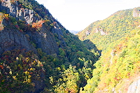 豊平峡ダム自然観察教育林の写真