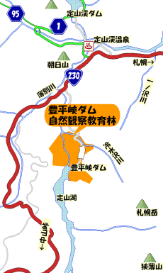 豊平峡ダム自然観察教育林位置図