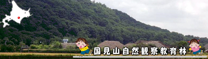 国見山自然観察教育林