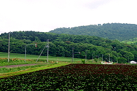長沼町側からの遠景写真